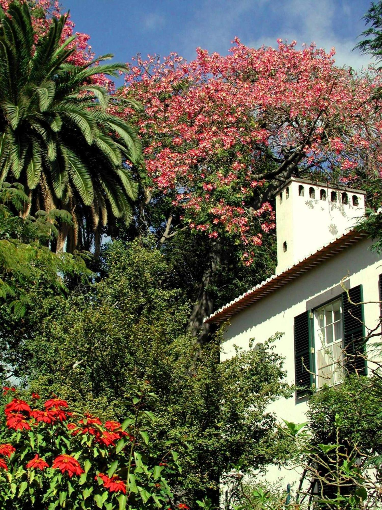 מלון פונשל Quinta Da Bela Vista מראה חיצוני תמונה